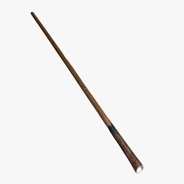 Newton Scamander