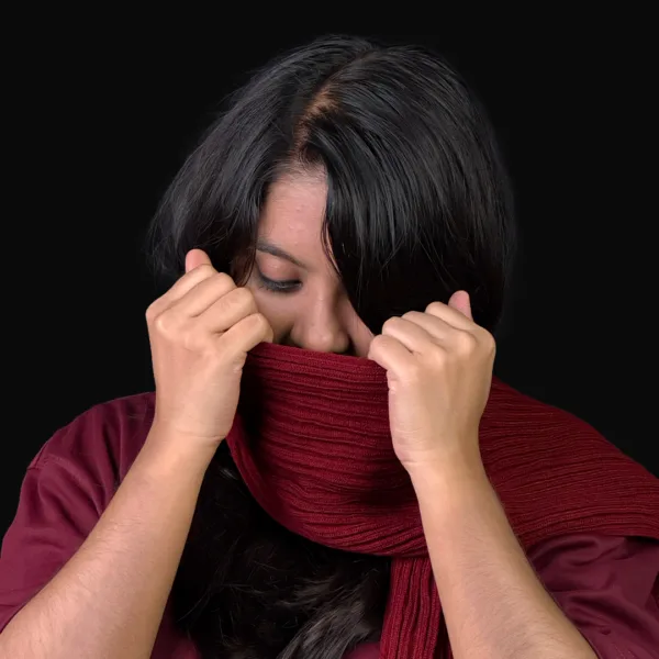 Mikasa Muffler