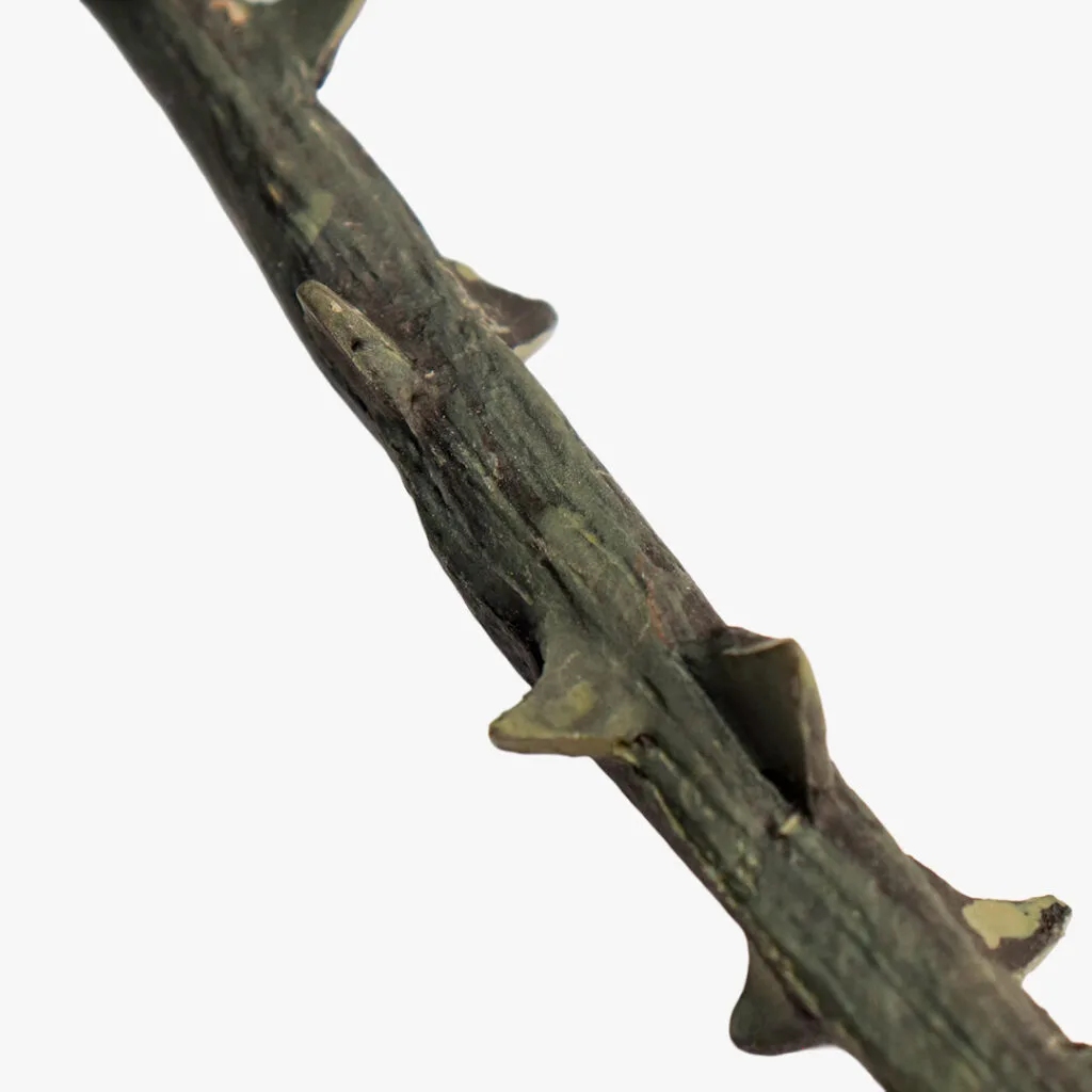 Death Eater Wand – Thron
