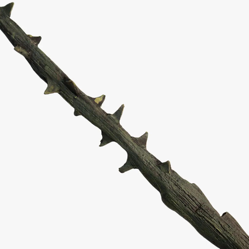 Death Eater Wand – Thron